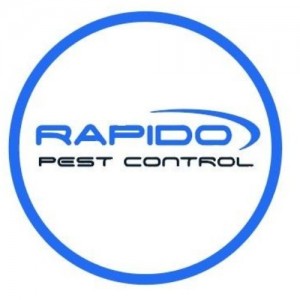 Rapido Pest Control