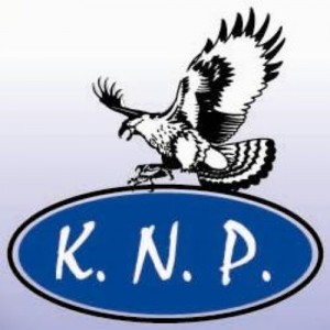 K.N PROPERTY L.L.C