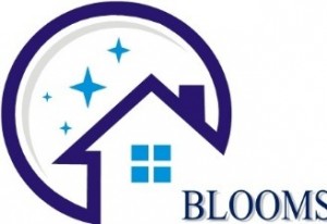 Bloomsford Cleaning Services LLC