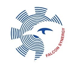 Falcon Synergy Engineering L.L.C