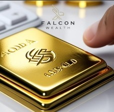 Falcon Wealth Project Management L.L.C